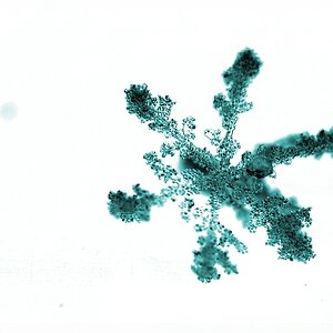 Schneeflocke aqua