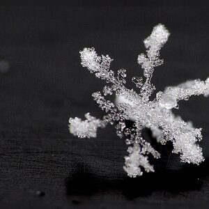 Schneeflocke