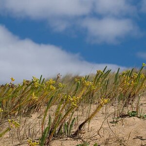 Strand in der Vendée