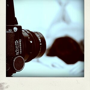 Web JOE3887 pola02
