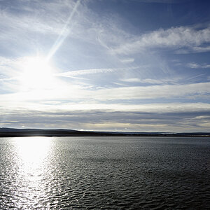 DSC5219 nff