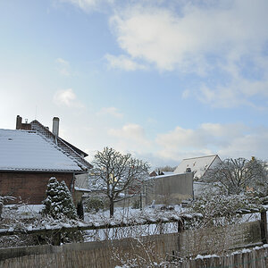 DSC7295 nff