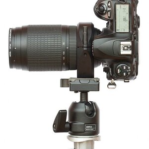 IMG 0021