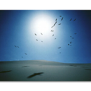 namib