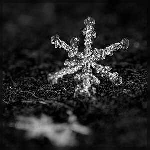 Schneekristall