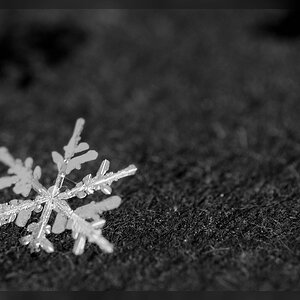 Schneeflocke und geschmolzene Schatten