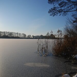 DSC 0002a