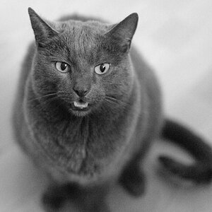 DSC6688 nff