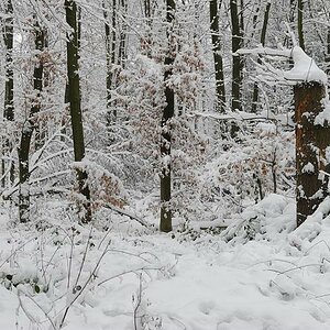 Kammerberg 01/2010