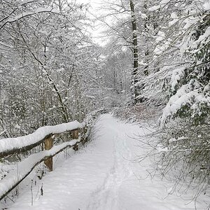 Kammerberg 01/2010
