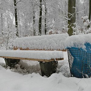 Kammerberg 01/2010
