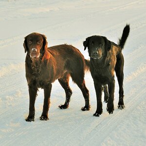 onkel und neffe