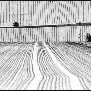 WinterDSC 0150