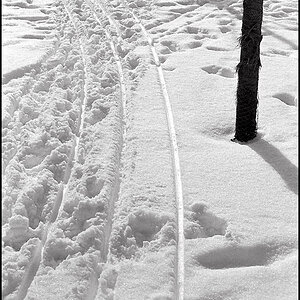 Nikon F test 21