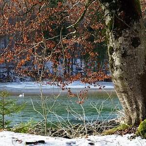 20100204 144933 georgenstein