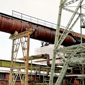 D30 0484log