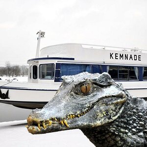 Kroko Kemnade Storch