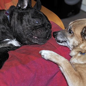 Ludwig&Lilly