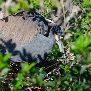 Florida