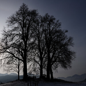 Sterzen´s Abendsitz