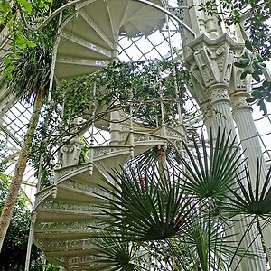 Wendeltreppe im Palmenhaus Schönbrunn