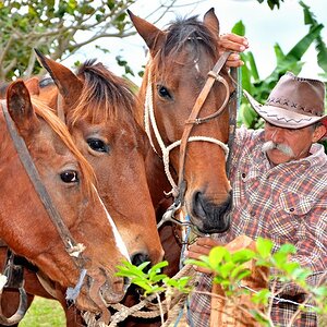 Rancher im Tal Rio del Pino