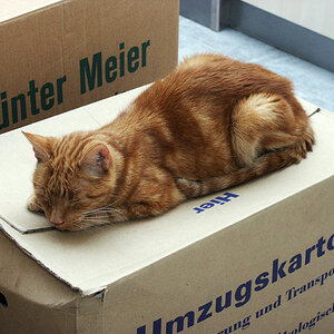 2004 PICT0071