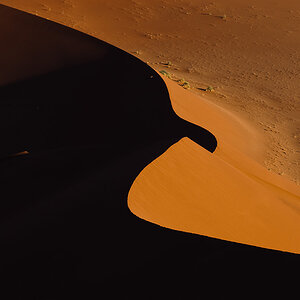 SSV05