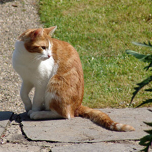 2005 DSC00428