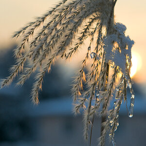 Winter1