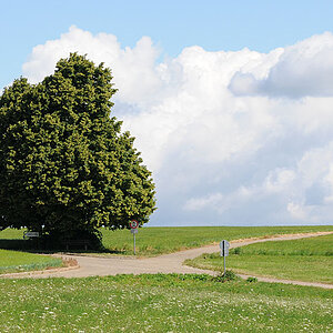 Der Baum am Kreuzweg 1k