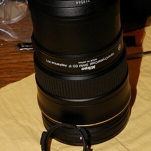 AF-S Nikkor 24-70/2.8G ED:
Zuletzt wird die hinterste Linse in das Bajonett eingesetzt.