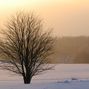 Hoher Meissner im Schnee 0015