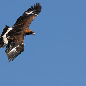 2007 03 26 145236 03Hellabrunn
