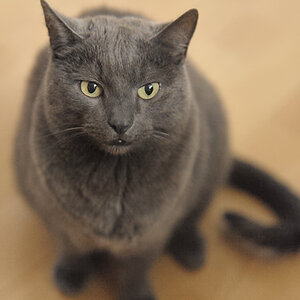 DSC6689 nff