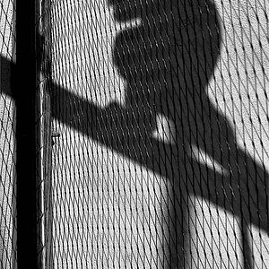 Allein HighContrast