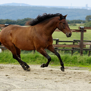 D2X 4708 DxO raw