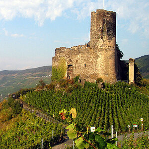 G5 0981 hsw
