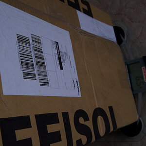 Feisol 2