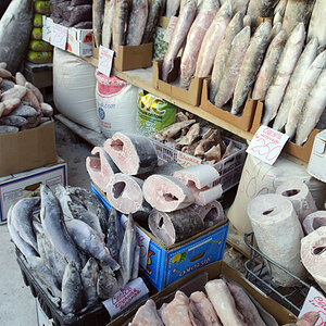 Am Fischmarkt von Jakutsk