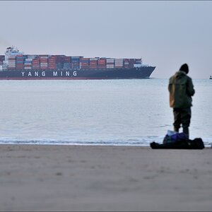 Boote Yang Ming