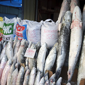 Am Fischmarkt von Jaktusk