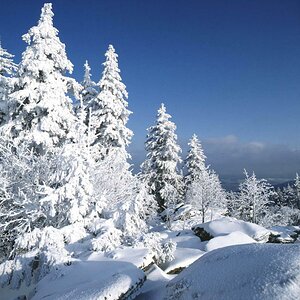 Winterlandschaft Bayrischer Wald 1993