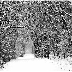 Winterbild