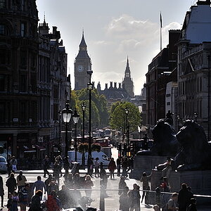 London, Trafalgar square -> Big Willi