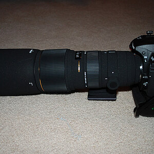 Sigma 100-300 f4