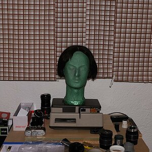 DSC 7398