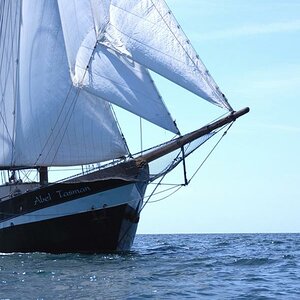 Die "Abel Tasman"