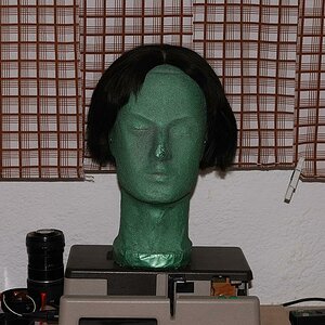 DSC 7395
