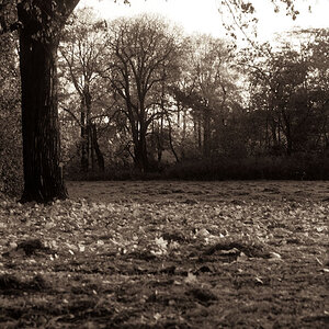 herbst01